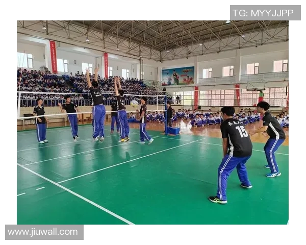 武汉羽毛球队中路突破的成功之道与未来发展展望 武汉羽毛球队中路突破的成功之道与未来发展展望