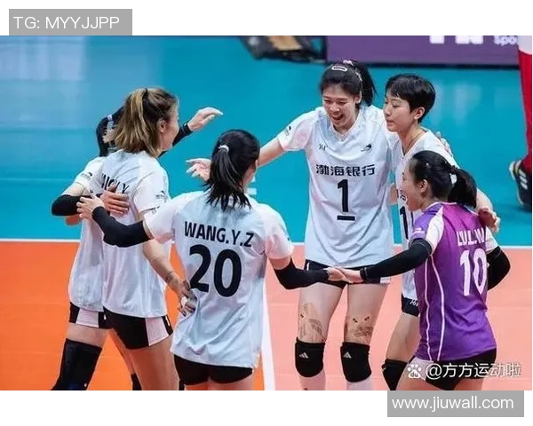 南京排球队实力强劲排球个人能力排行榜第六名引关注
