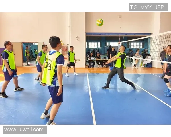 杭州排球队创历史新高排球速度排名引发热议