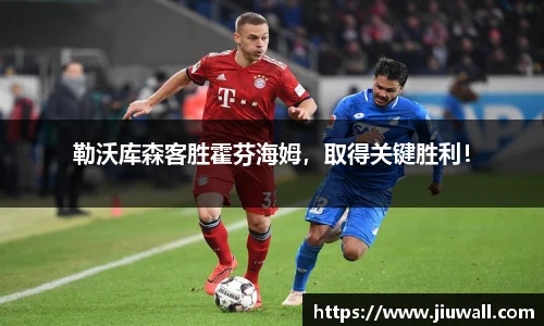 勒沃库森客胜霍芬海姆，取得关键胜利！