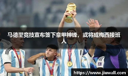 凤凰联盟首页官网