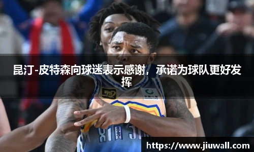 凤凰联盟首页官网