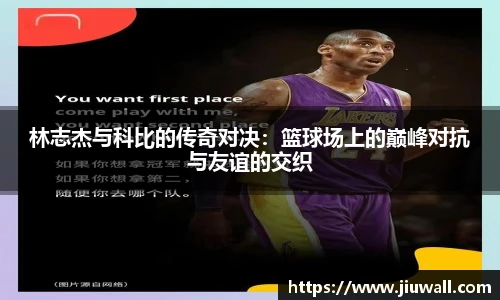 凤凰联盟平台