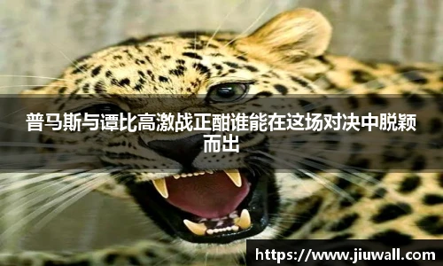 凤凰联盟首页官网